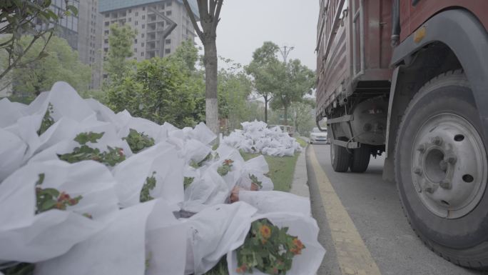 路边堆放的花盆