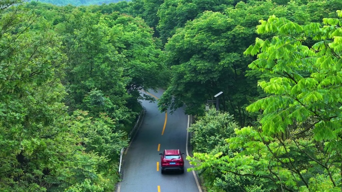 森林航拍汽车摩托车在林间行驶美丽乡村