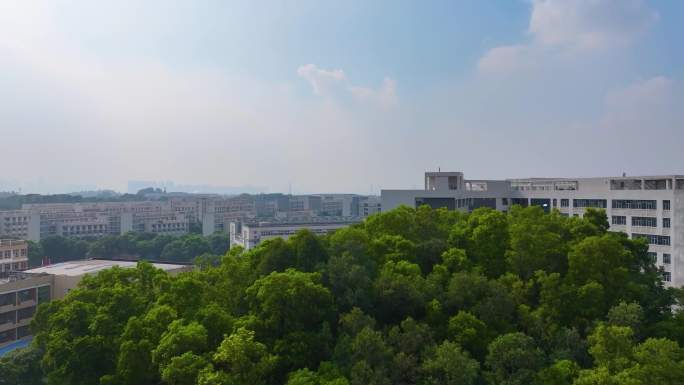 广州大学城航拍校园广州番禺区广东城市风景