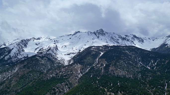 雪山雪景山峰连绵雪山树大树雪花飘落森林