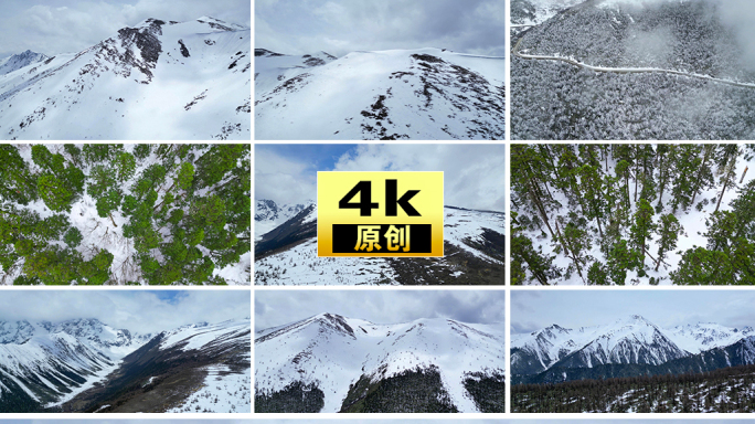 雪山雪景山峰连绵雪山树大树雪花飘落森林