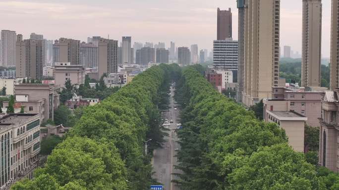 漯河主城区城市道路河提