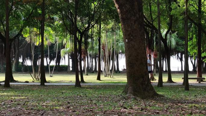 深圳湾红树林晨练骑行跑步