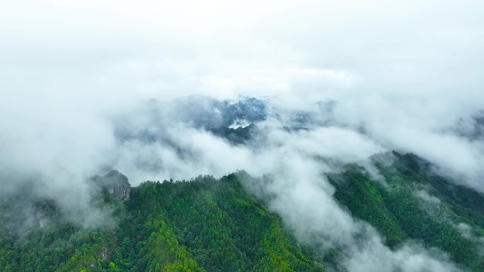 大雨过后大山云雾延时