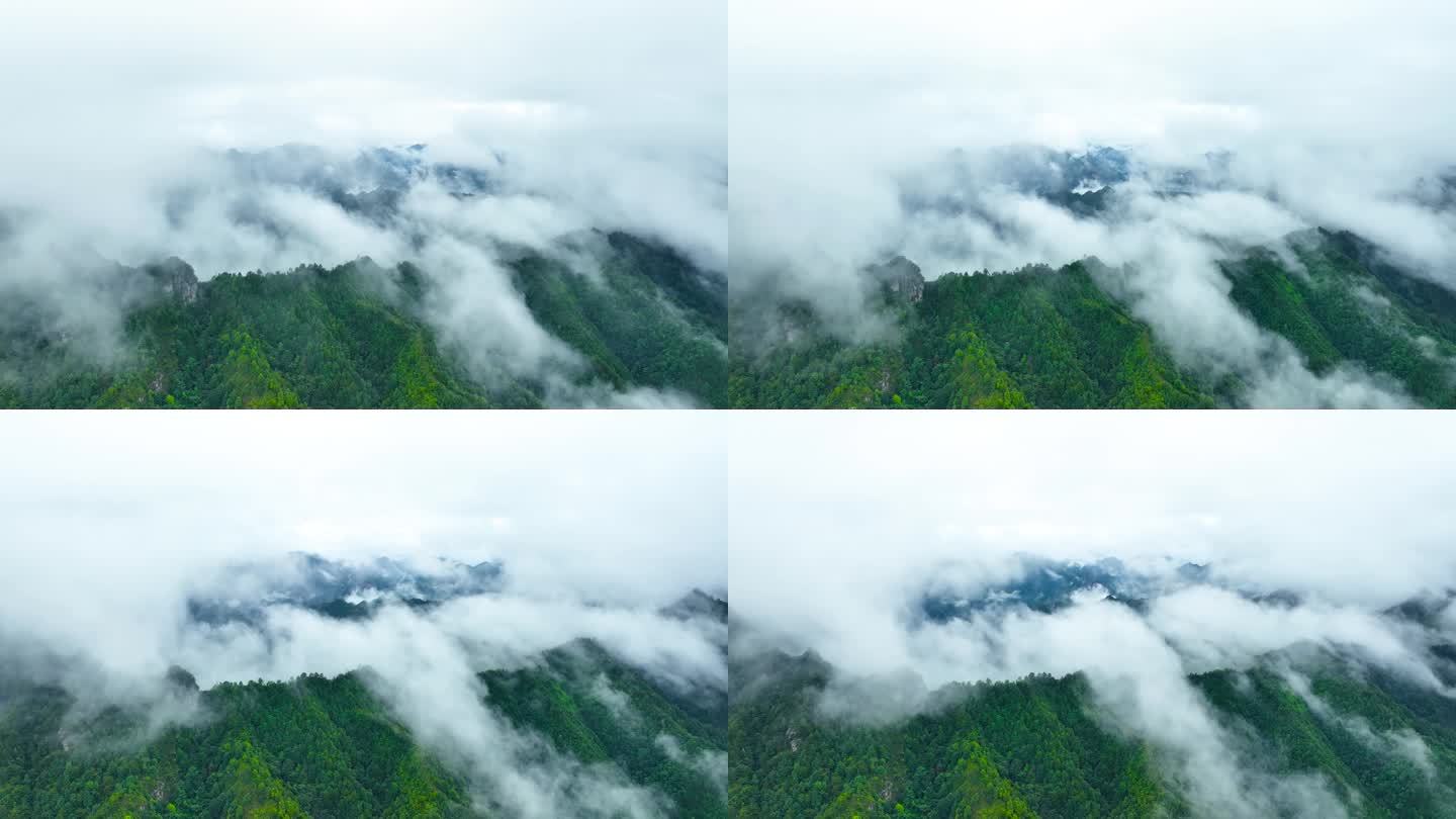 大雨过后大山云雾延时