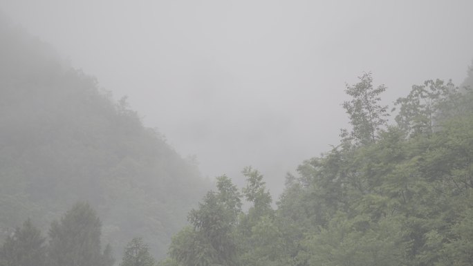山里起雾了