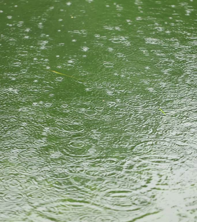 （慢镜）下雨天雨水落在湖面上竖版竖屏