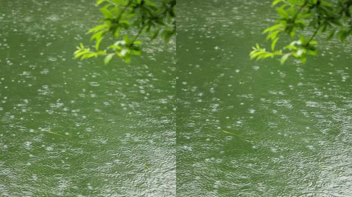 （慢镜）下雨天雨水落在湖面上竖版竖屏