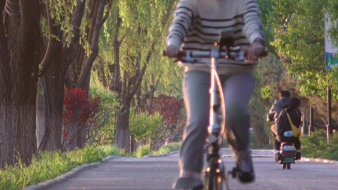 骑行晨跑健身遛弯休闲生态城市朝霞太阳升起