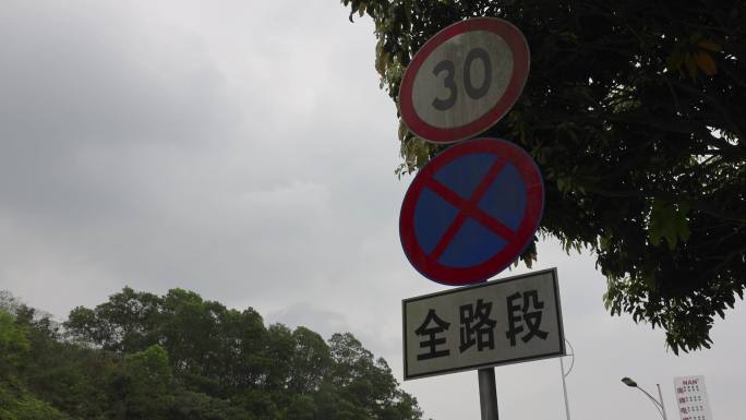 4K限速30全路段禁止停车标志牌