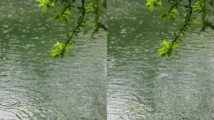 （慢镜）下雨天雨水落在湖面上竖版竖屏