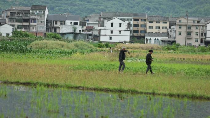 江南田园生活