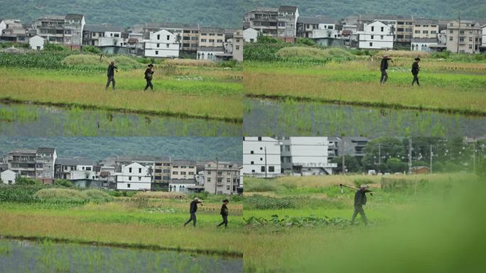 江南田园生活