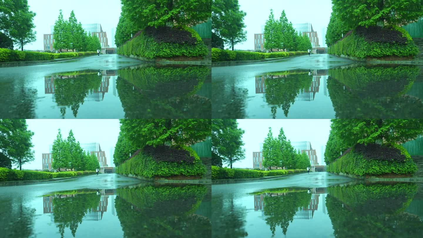 湖面 绿色 树木 倒影