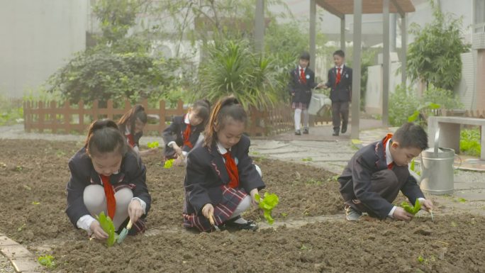 唯美小学生校园农场菜园绿色阳光生态课淋菜