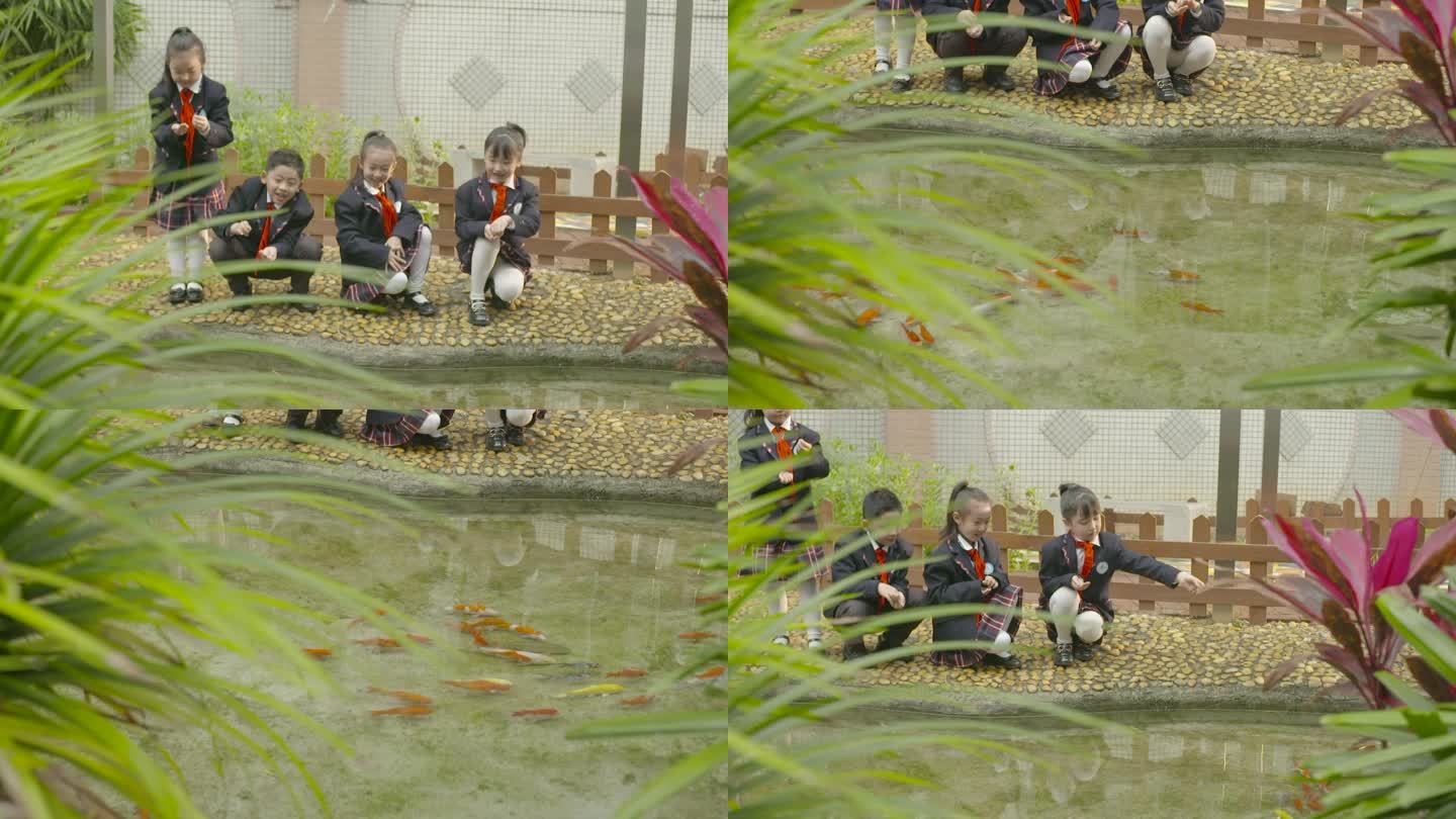 唯美小学生鱼池放生金鱼看金鱼游动快乐童年