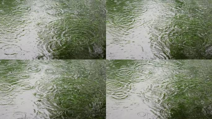 （慢镜）下雨天雨水落在湖面泛起涟漪