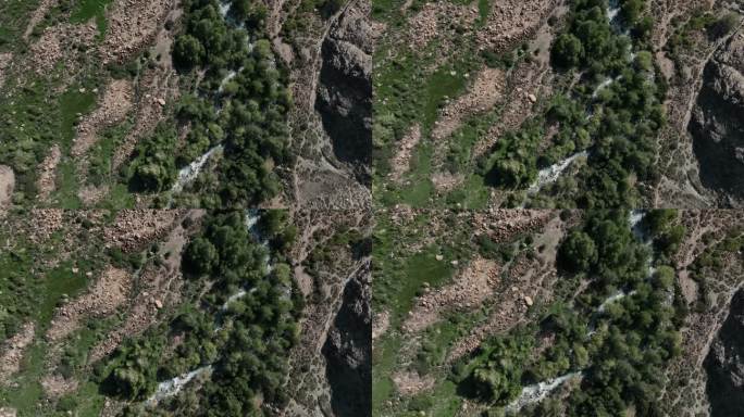 天山荒原旷野里的绿色生态溪谷