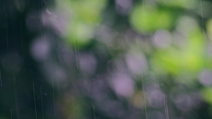 下雨雨水细雨光影背景