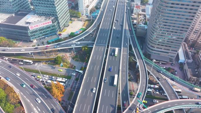 上海杨浦区邯郸路航拍车流马路道路大柏树立