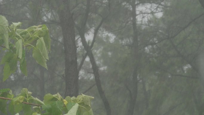 刮风下雨