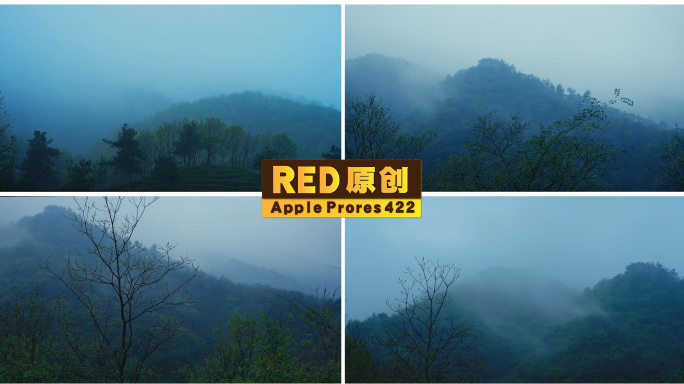 「RED拍摄」 山间云雾翻滚水墨写意风景
