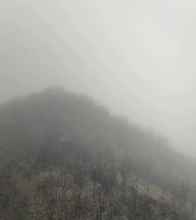 爬山山雾