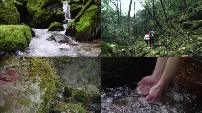 自然山间清澈泉水 喝水