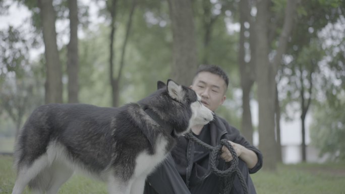 草地坐着抚摸狗狗