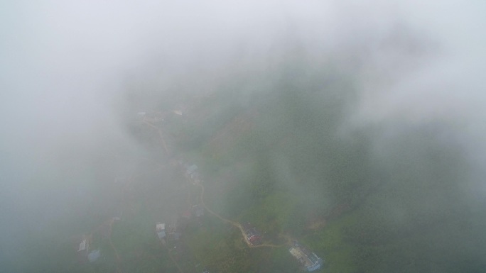 航拍武夷山桐木麻粟村正山小种老枞红茶山场