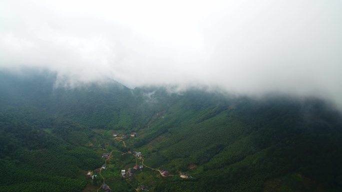 航拍武夷山桐木麻粟村正山小种老枞红茶山场