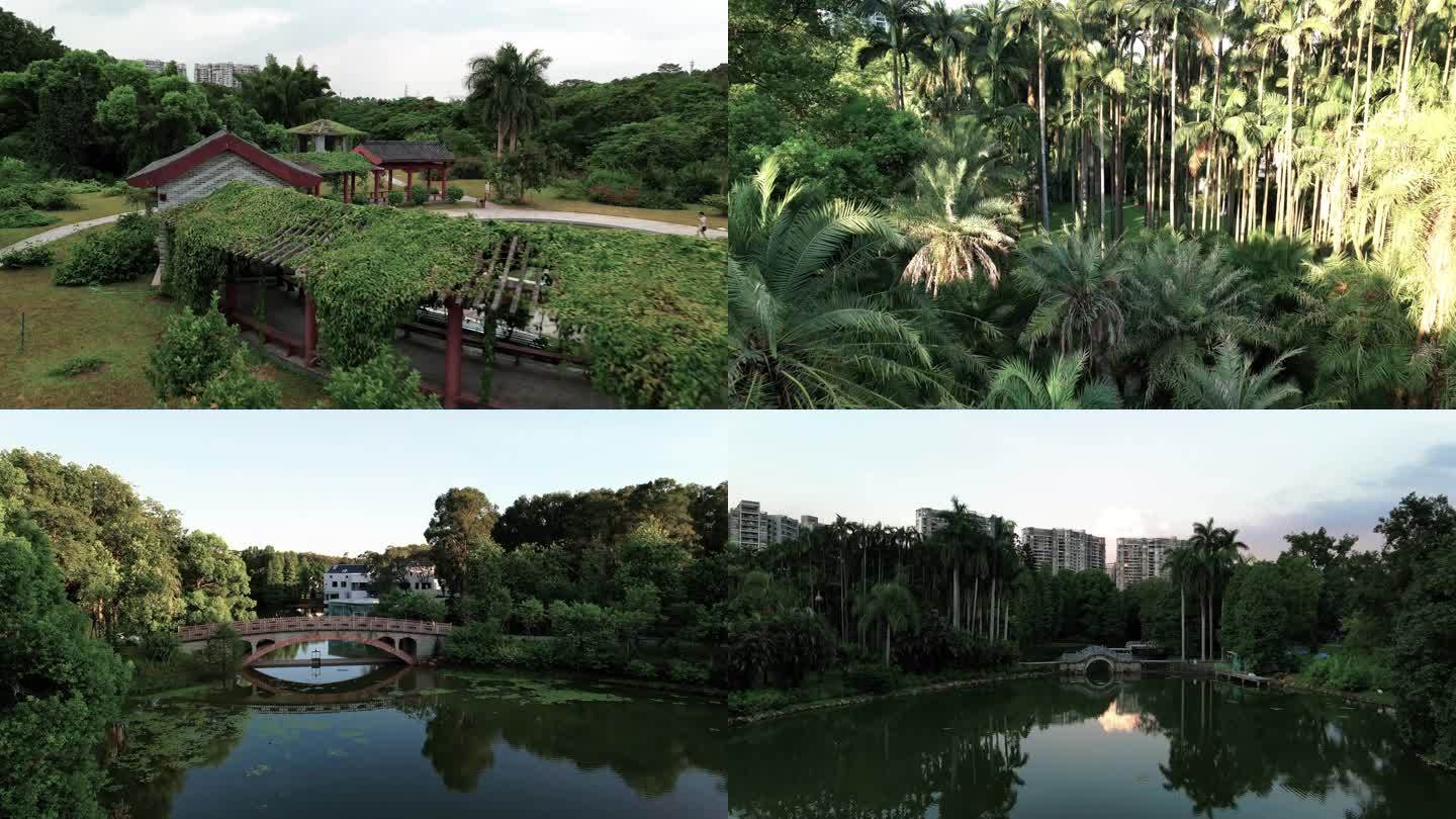 航拍广州华南植物园