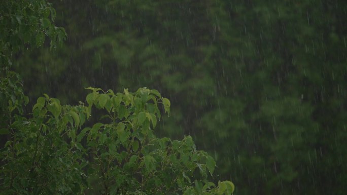 雨天素材雨景素材