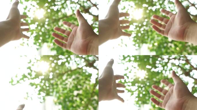【4K原创】户外树叶下双手伸向阳光拥抱
