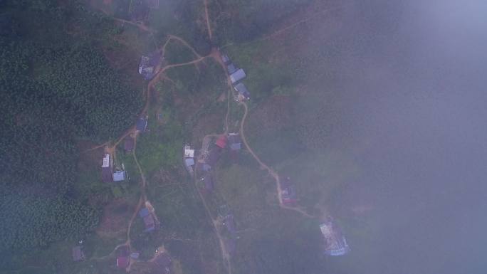 航拍武夷山桐木麻粟村正山小种老枞红茶山场