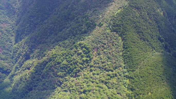 航拍武夷山黄岗山最高峰峡谷草甸森林云海