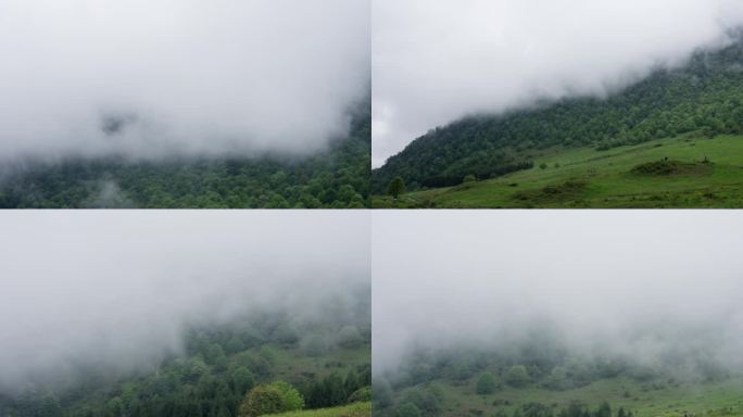 草原半山腰云雾缭绕 水雾 草地 山峦