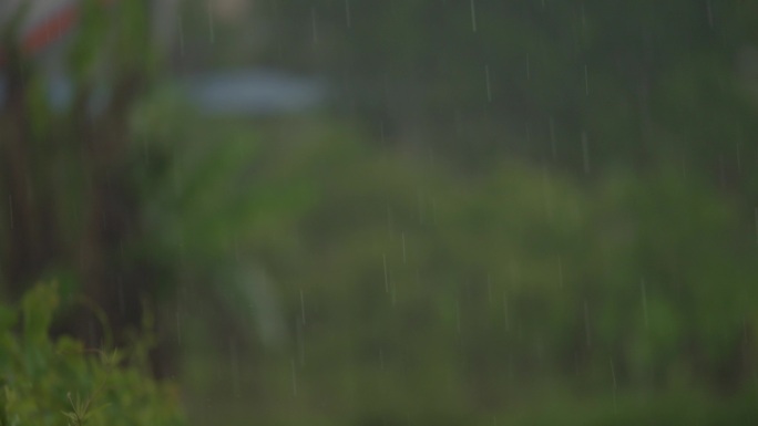 雨丝 雨点 雨 小雨