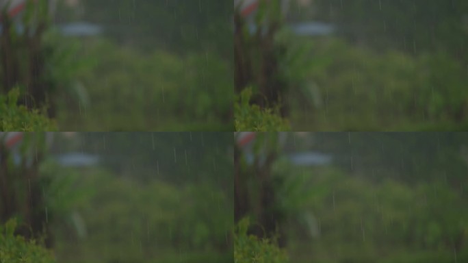 雨丝 雨点 雨 小雨