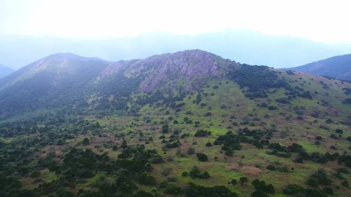 航拍武夷山黄岗山最高峰峡谷草甸森林云海