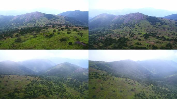 航拍武夷山黄岗山最高峰峡谷草甸森林云海