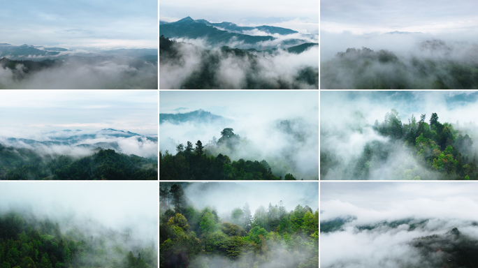森林云雾晨雾水墨画森林覆盖率云海湿润气候