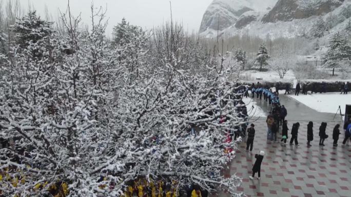 清明节社会各界雪中祭扫烈士墓祭奠