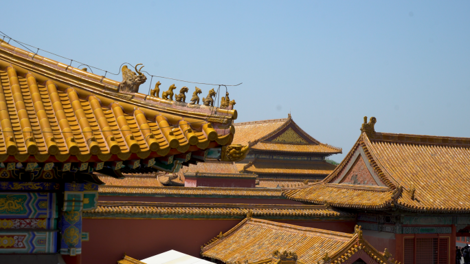 北京故宫  故宫游客