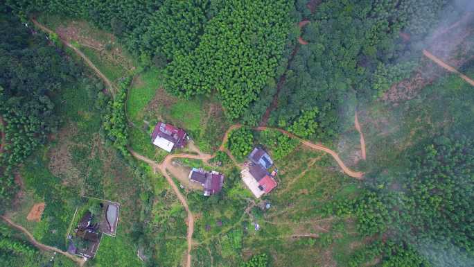 航拍武夷山桐木麻粟村正山小种老枞红茶山场