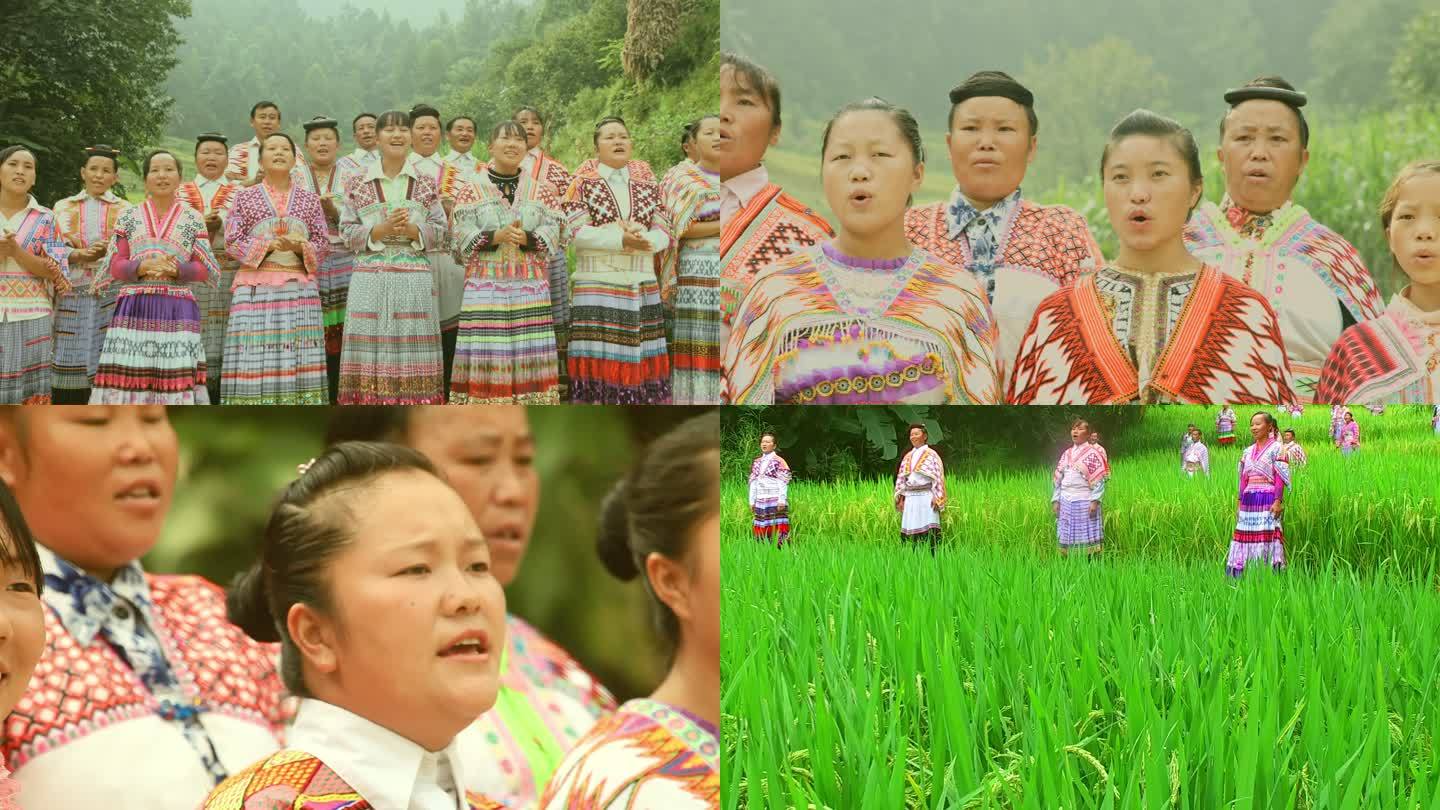 少数民族 苗族 民族服饰 在山间稻田唱歌