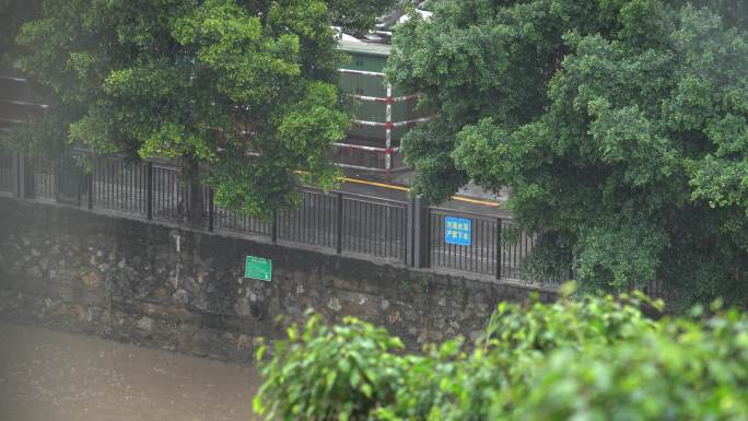 雨中，路上行人 4K原始素材