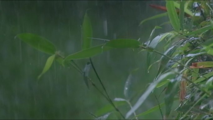 雨