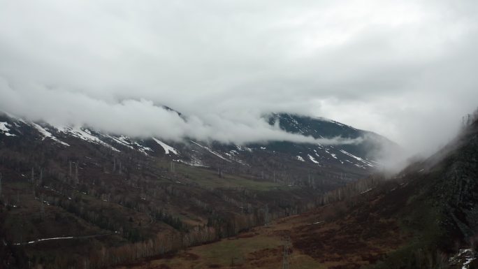 4k春天的禾木沿途风景