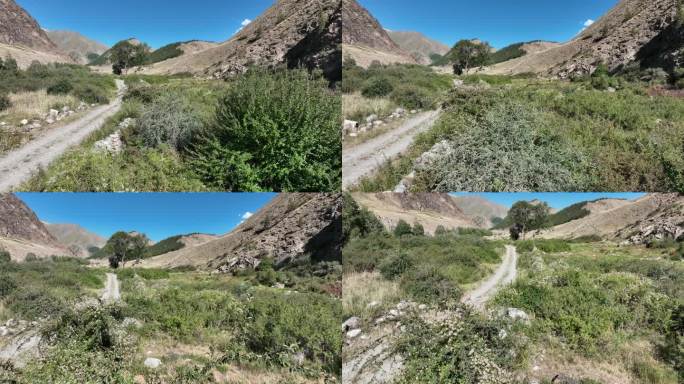 天山草原牧民草场